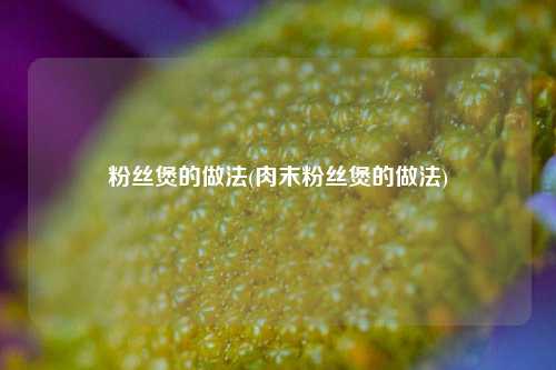 粉丝煲的做法(肉末粉丝煲的做法)