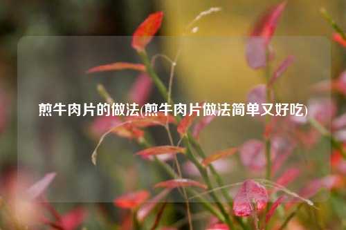 煎牛肉片的做法(煎牛肉片做法简单又好吃)