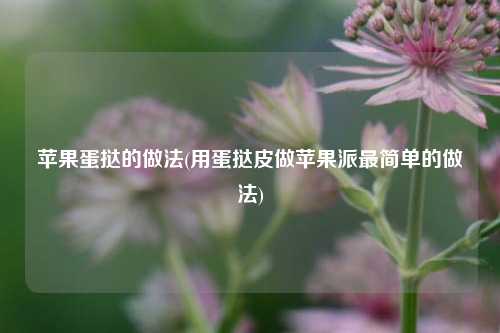 苹果蛋挞的做法(用蛋挞皮做苹果派最简单的做法)