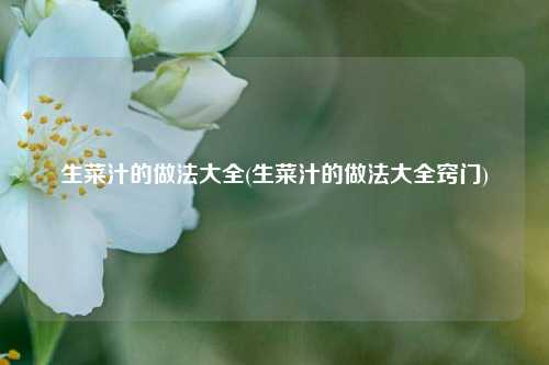 生菜汁的做法大全(生菜汁的做法大全窍门)