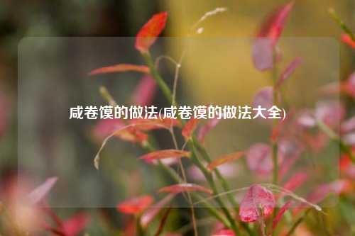咸卷馍的做法(咸卷馍的做法大全)
