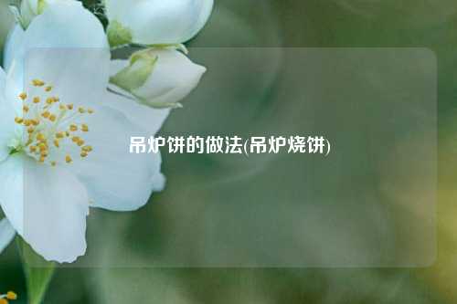 吊炉饼的做法(吊炉烧饼)