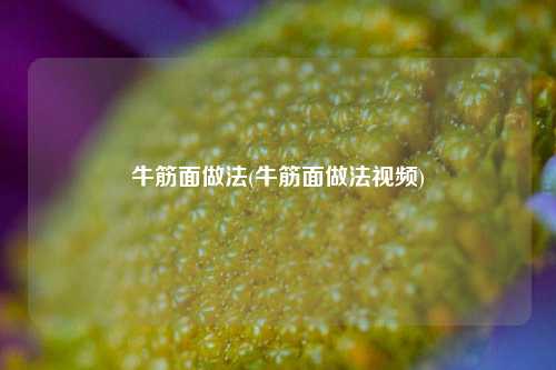 牛筋面做法(牛筋面做法视频)