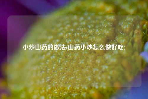 小炒山药的做法(山药小炒怎么做好吃)