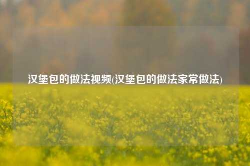 汉堡包的做法视频(汉堡包的做法家常做法)