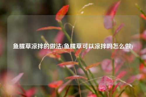 鱼腥草凉拌的做法(鱼腥草可以凉拌吗怎么做)