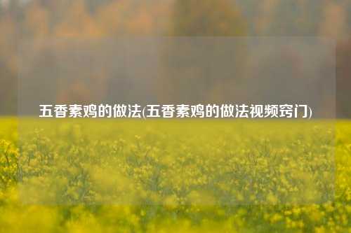 五香素鸡的做法(五香素鸡的做法视频窍门)