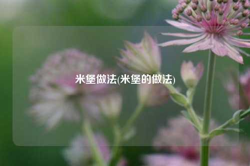 米堡做法(米堡的做法)