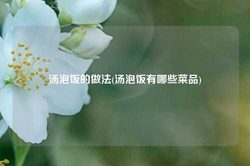 汤泡饭的做法(汤泡饭有哪些菜品)