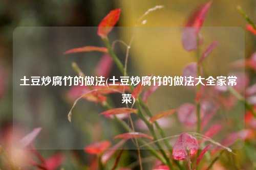 土豆炒腐竹的做法(土豆炒腐竹的做法大全家常菜)