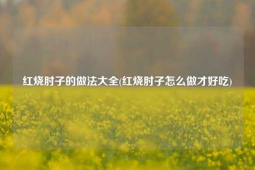 红烧肘子的做法大全(红烧肘子怎么做才好吃)