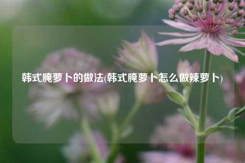 韩式腌萝卜的做法(韩式腌萝卜怎么做辣萝卜)